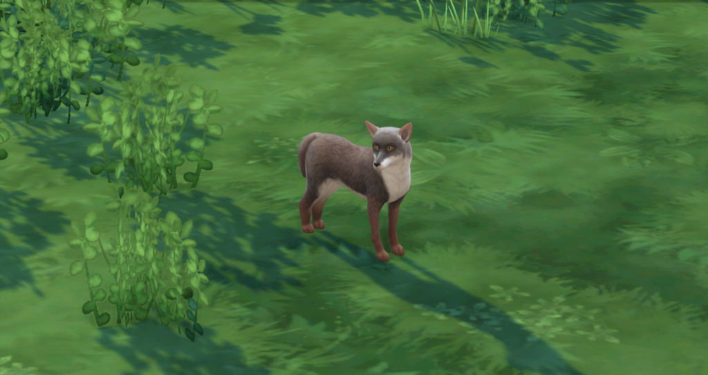 The Sims 4: Wild Animals (Cottage Living)